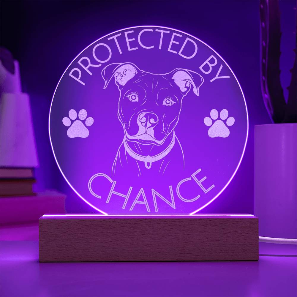 Protected By Pitbull | Personalized Night Light