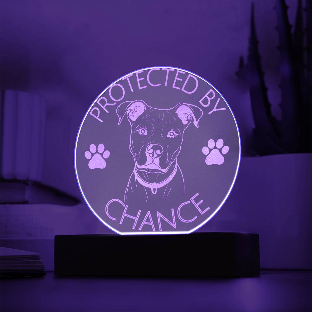 Protected By Pitbull | Personalized Night Light